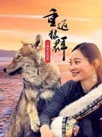 重返狼群纪录片全集免费观看  10周年纪念版